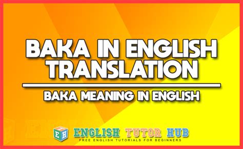 baka traduccion|translate baka to english.